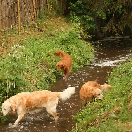 Und Gaestezimmer Friedrichs * 블랑켄하임