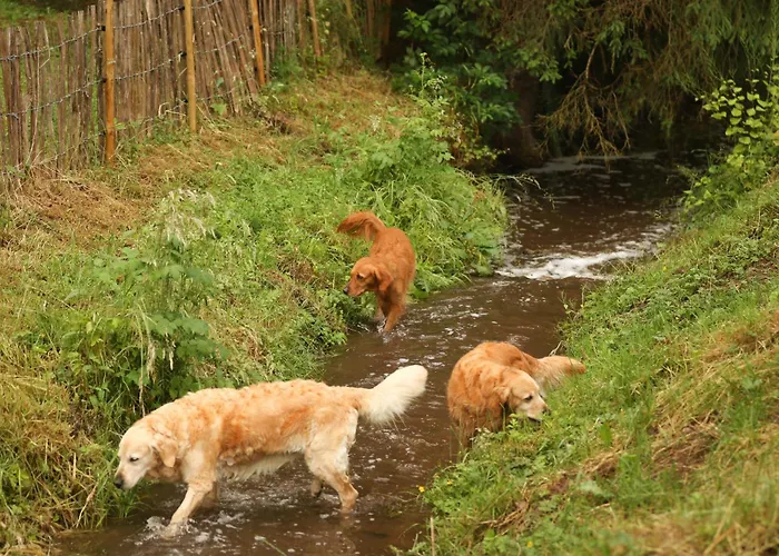 Und Gaestezimmer Friedrichs * Blankenheim (North Rhine-Westphalia)